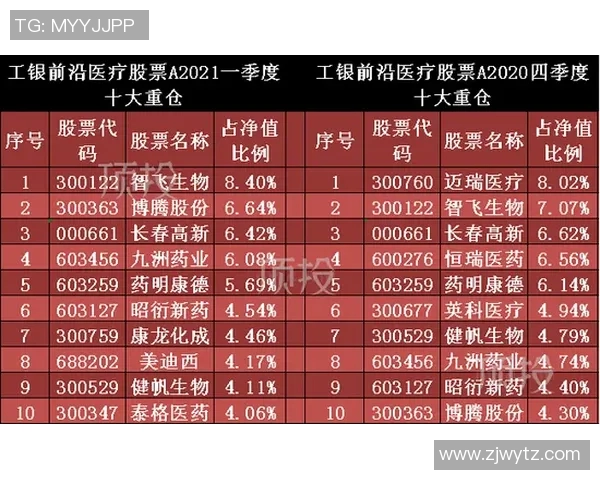 深圳排球队以78分领跑挑战赛积分榜展现强劲实力与团队协作